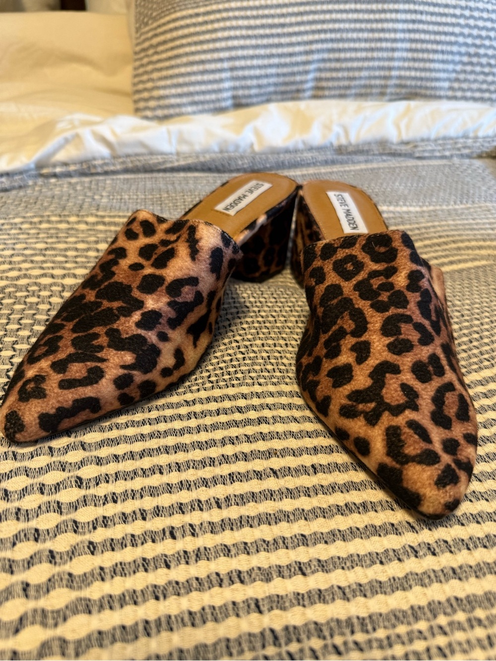 Steve Madden Leopard-Print Pointed Mule in Brown and Black